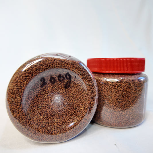 Himalayan Chamsur — Garden Cress Seeds (चम्सुर)
