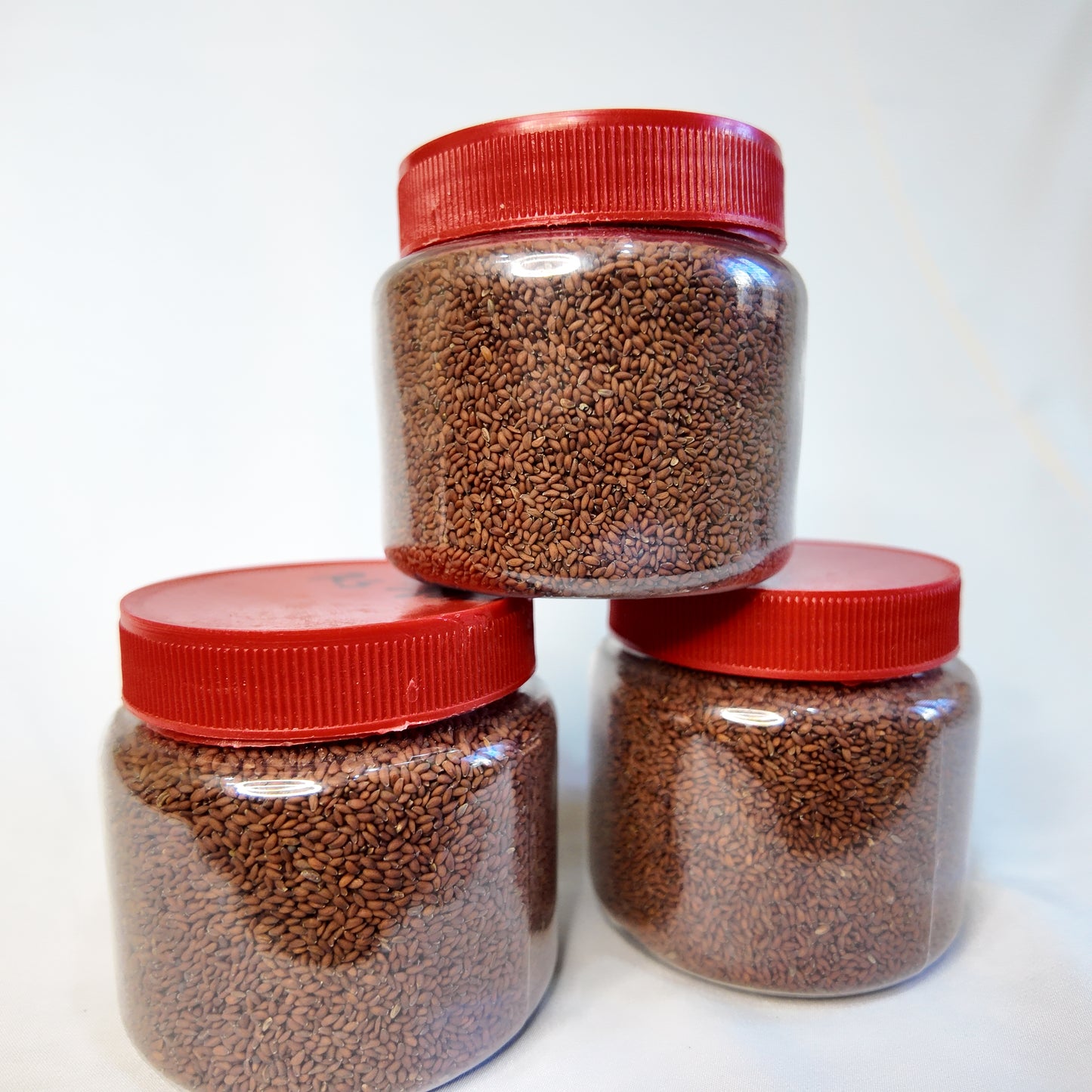 Himalayan Chamsur — Garden Cress Seeds (चम्सुर)